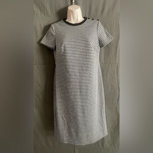 (12) NWT women's dress Lauren Ralph Lauren (2) MSRP $165